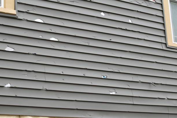 Best Siding for New Construction  in Turnersville, NJ